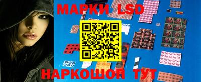 трава Новозыбков