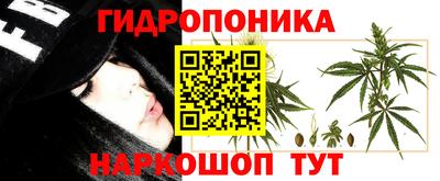 трава Новозыбков
