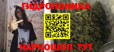 трава Новозыбков