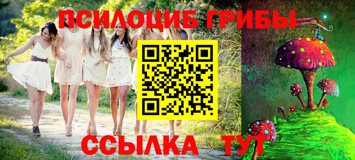 Галлюциногенные грибы Psilocybe Салехард