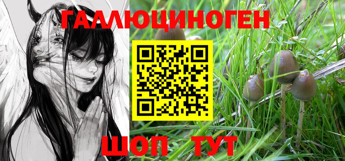 Псилоцибиновые грибы GOLDEN TEACHER  Вход с VPN  Салехард 